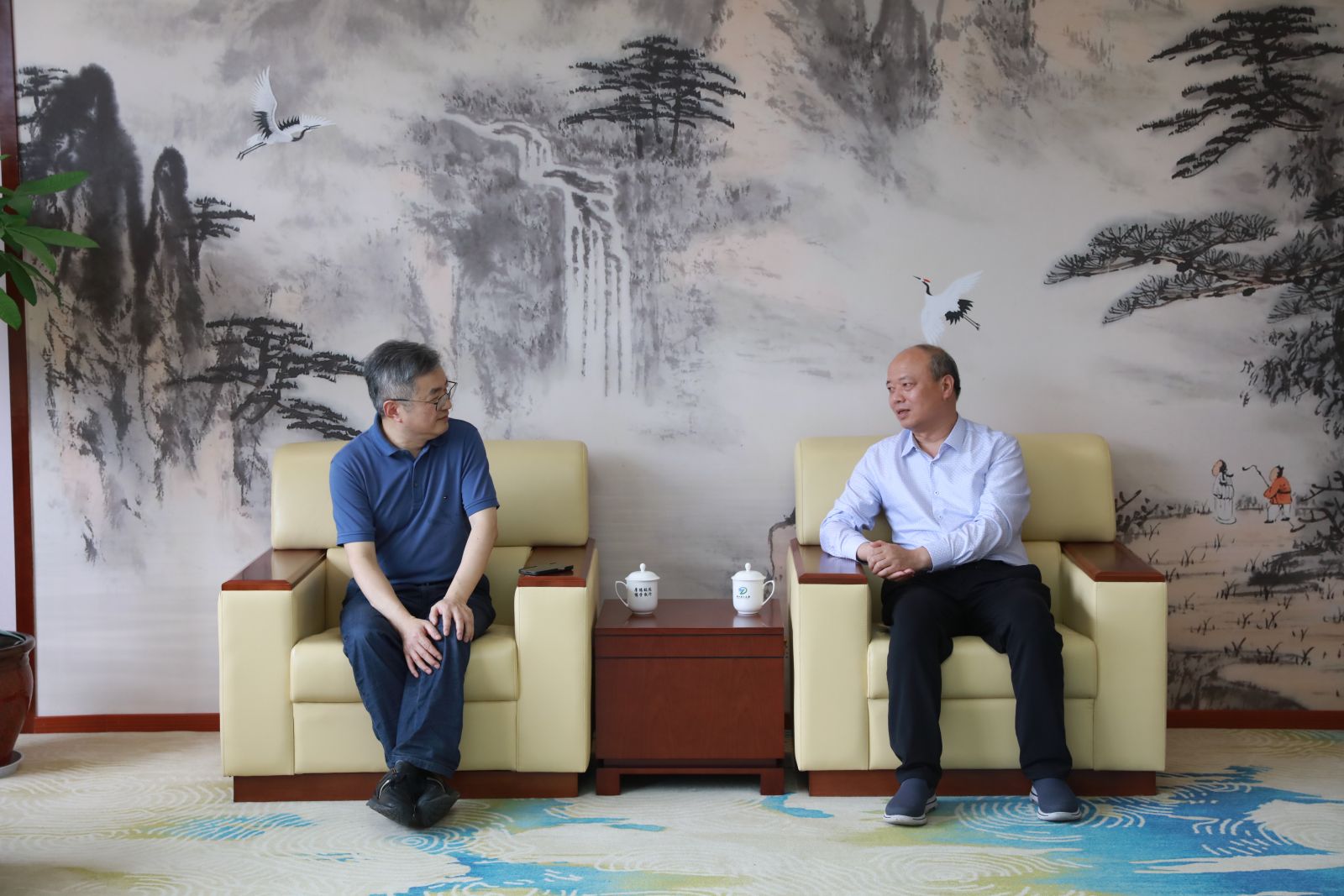 云顶集团·(中国区)最新官方网站