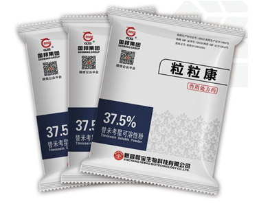 云顶集团·(中国区)最新官方网站