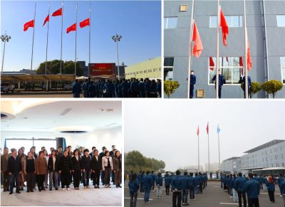 行稳致远 坚守初心—云顶集团医药28周年升旗及宣誓活动